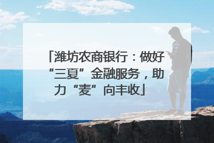 潍坊农商银行：做好“三夏”金融服务，助力“麦”向丰收