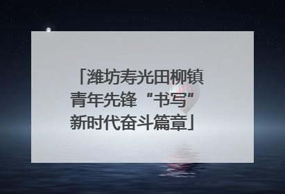 潍坊寿光田柳镇青年先锋“书写”新时代奋斗篇章