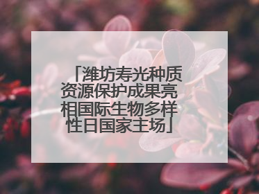 潍坊寿光种质资源保护成果亮相国际生物多样性日国家主场