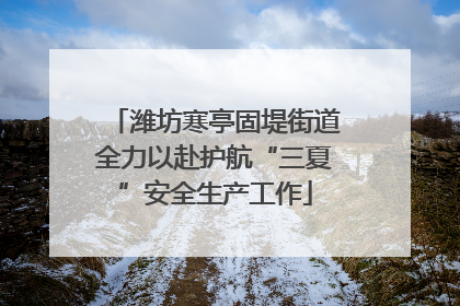 潍坊寒亭固堤街道全力以赴护航“三夏”安全生产工作