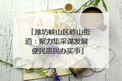 潍坊峡山区岞山街道：聚力集采谋发展 便民惠民办实事