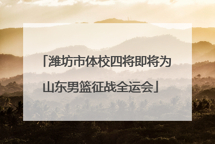 潍坊市体校四将即将为山东男篮征战全运会