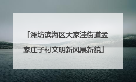 潍坊滨海区大家洼街道孟家庄子村文明新风展新貌