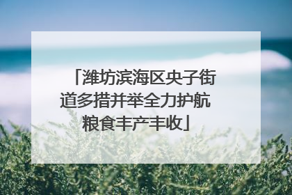 潍坊滨海区央子街道多措并举全力护航粮食丰产丰收