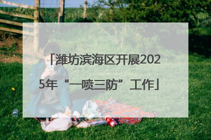 潍坊滨海区开展2025年“一喷三防”工作