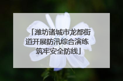 潍坊诸城市龙都街道开展防汛综合演练 筑牢安全防线