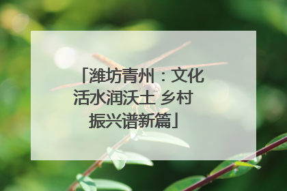 潍坊青州：文化活水润沃土 乡村振兴谱新篇