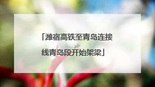 潍宿高铁至青岛连接线青岛段开始架梁