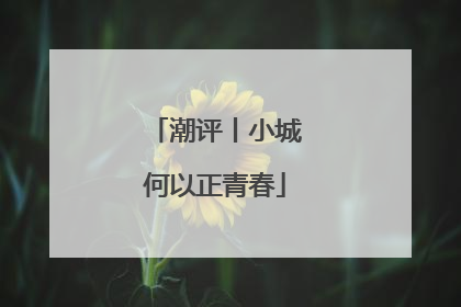 潮评丨小城何以正青春