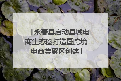 永春县启动县域电商生态圈打造暨跨境电商集聚区创建