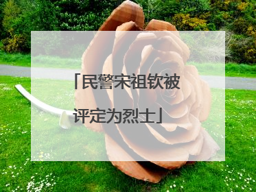 民警宋祖钦被评定为烈士