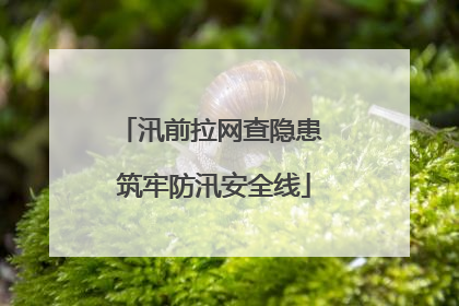 汛前拉网查隐患 筑牢防汛安全线