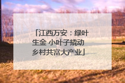 江西万安：绿叶生金 小叶子撬动乡村共富大产业