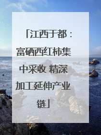 江西于都：富硒西红柿集中采收 精深加工延伸产业链