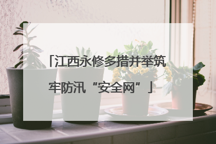 江西永修多措并举筑牢防汛“安全网”
