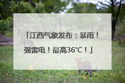 江西气象发布：暴雨！强雷电！最高36℃！