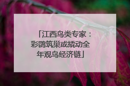 江西鸟类专家：彩鹮筑巢或撬动全年观鸟经济链