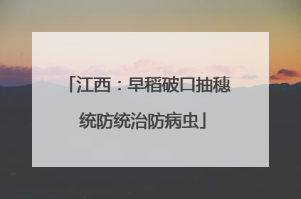 江西：早稻破口抽穗 统防统治防病虫