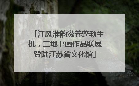 江风淮韵滋养蓬勃生机，三地书画作品联展登陆江苏省文化馆