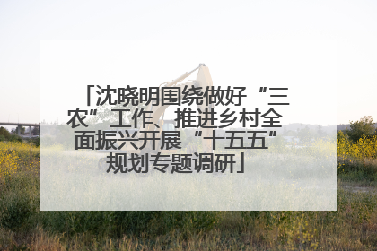 沈晓明围绕做好“三农”工作、推进乡村全面振兴开展“十五五”规划专题调研