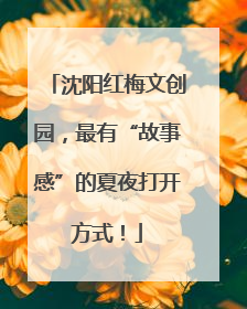 沈阳红梅文创园，最有“故事感”的夏夜打开方式！