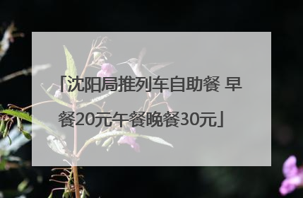 沈阳局推列车自助餐 早餐20元午餐晚餐30元