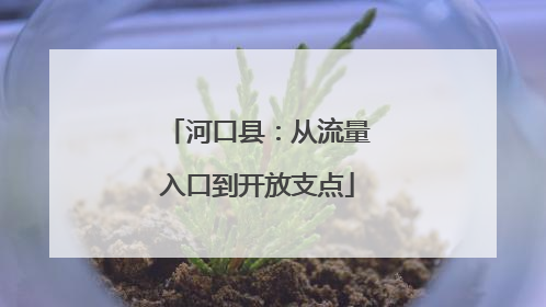 河口县：从流量入口到开放支点