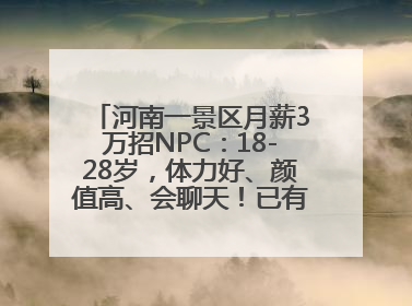 河南一景区月薪3万招NPC：18-28岁，体力好、颜值高、会聊天！已有1000多人应聘