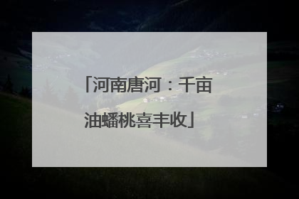 河南唐河：千亩油蟠桃喜丰收