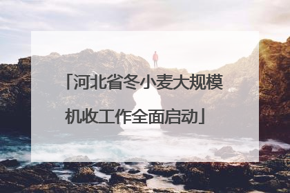 河北省冬小麦大规模机收工作全面启动