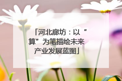 河北廊坊：以“算”为笔描绘未来产业发展蓝图