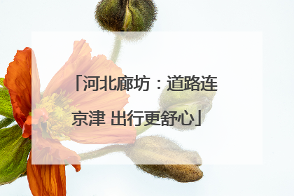 河北廊坊：道路连京津 出行更舒心