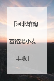 河北馆陶富铬黑小麦丰收