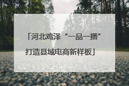 河北鸡泽“一品一播”打造县域电商新样板