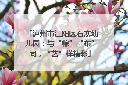 泸州市江阳区石寨幼儿园：与“粽”“布”同，“艺”样精彩