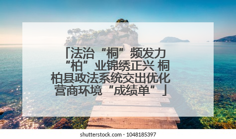 法治“桐”频发力 “柏”业锦绣正兴 桐柏县政法系统交出优化营商环境“成绩单”