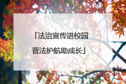 法治宣传进校园 普法护航助成长