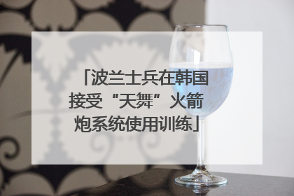 波兰士兵在韩国接受“天舞”火箭炮系统使用训练