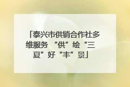 泰兴市供销合作社多维服务 “供”绘“三夏”好“丰”景