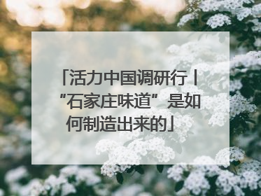 活力中国调研行丨“石家庄味道”是如何制造出来的