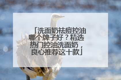 洗面奶祛痘控油哪个牌子好？精选热门控油洗面奶，良心推荐这十款
