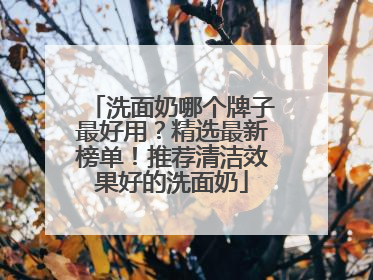 洗面奶哪个牌子最好用？精选最新榜单！推荐清洁效果好的洗面奶