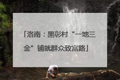 洛南：黑彰村“一地三金”铺就群众致富路