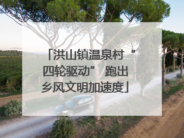 洪山镇温泉村“四轮驱动” 跑出乡风文明加速度