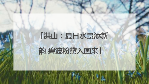 洪山：夏日水景添新韵 碧波粉黛入画来