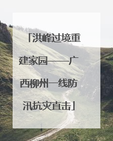 洪峰过境重建家园——广西柳州一线防汛抗灾直击