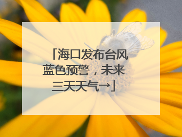 海口发布台风蓝色预警，未来三天天气→
