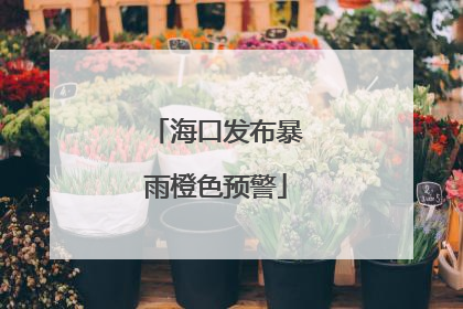 海口发布暴雨橙色预警