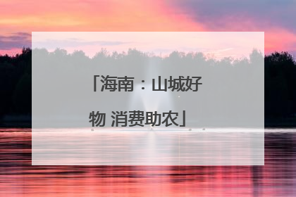 海南：山城好物 消费助农