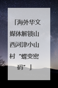 海外华文媒体解锁山西河津小山村“蝶变密码”